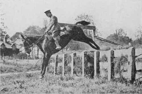 Fig. 13 - Good position of the rider in no way exaggerated.
