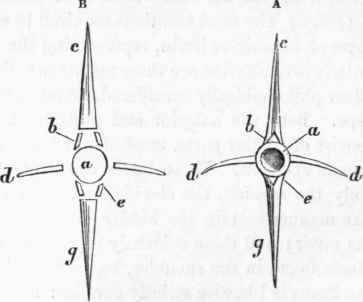 Elements of a vertebra.