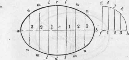 550 To Describe An Ellipsis By Ordinates 584