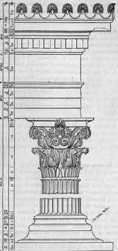 Fig. 7.   Grecian Corinthian.