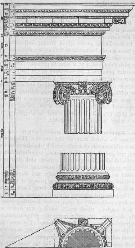 Fig. 9.   Roman Tonic.