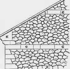 Fig 132. Polygonal Kentish Ragwork.