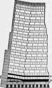 Fig. 6. Section of part of Clamp on line C D.