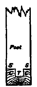 Framed Or Quartered Partitions PracticalBuildingConstruction01 268