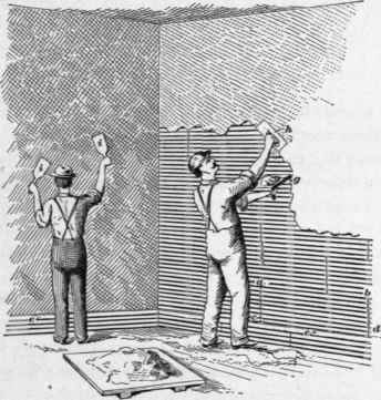 229 Preliminary Examination 233