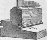 Prevention Of Decay 333