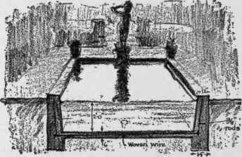 Concrete Pool
