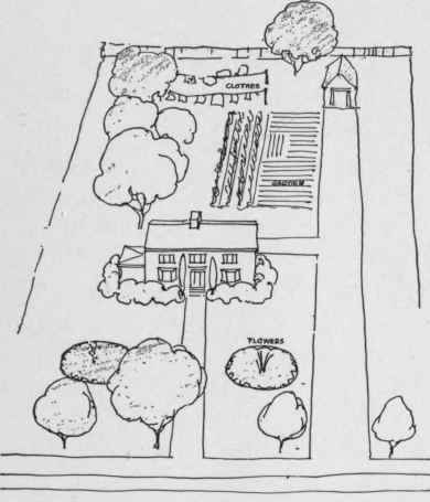THOUGHTLESS PLANTING