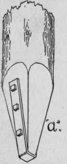 37 Manner of Driving 1009