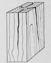 Fig. 10. Finished Timber Showing Checks