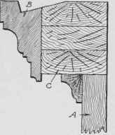 Fig. 365. Vertical Section through Plate Rail