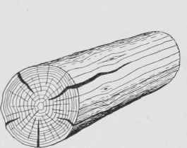 Fig. 9. Log Showing Checks