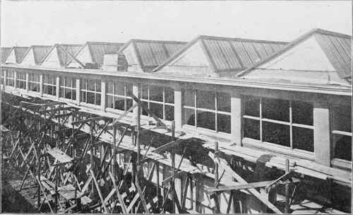 PART OF SAWTOOTH ROOF OF ASSEMBLY BUILDING OF THE GEORGE N. PIERCE COMPANY, BUFFALO, N. Y.
