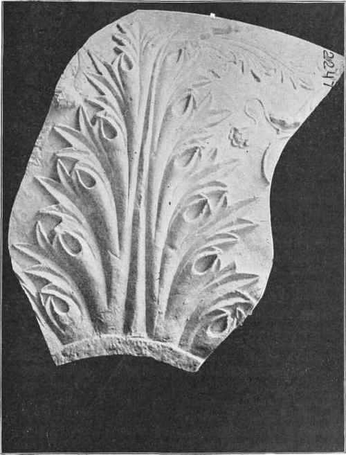 Byzantine Acanthus, from a fragment in the Capitoline Museum.
