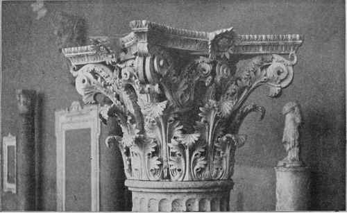 PLATE XI. Roman Corinthian Capital, from the Baths of Diocletian.