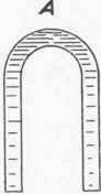 Siphonage 1000273
