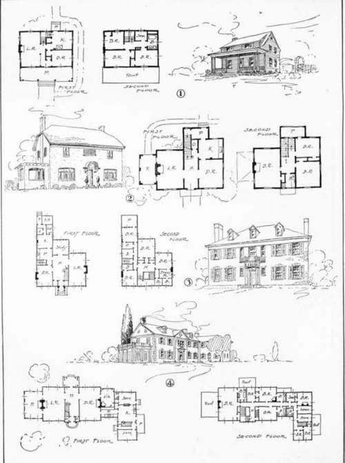 Outline Of Study Plate 76 80