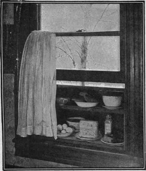 A WINDOW CUPBOARD litom the Cornell Reading Course for Farmers' Wives.