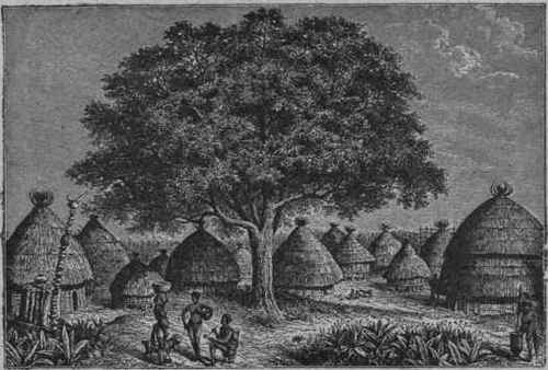 REED TENTS OF AFRICAN TRIBES.