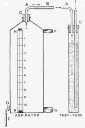 Enlarged Sections of Aspirator and Single Test tube.