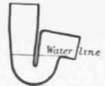 Fig. 303   Section of Anti D trap.
