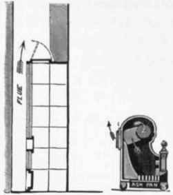 Fig. 452.   Section of Nautilus Orate.