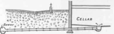 The Trapping Of Drain Inlets 300119