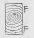 Resistance Of Fibres 100212