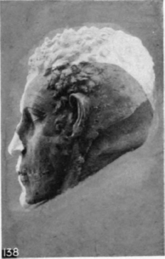 138. Modelled head and skull