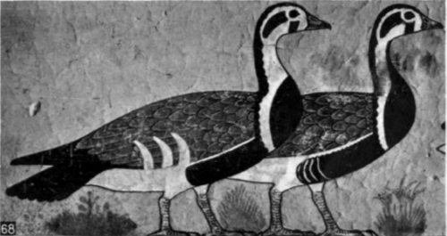 68. Geese of Medum