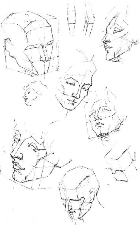 Masses ConstructiveAnatomy 51