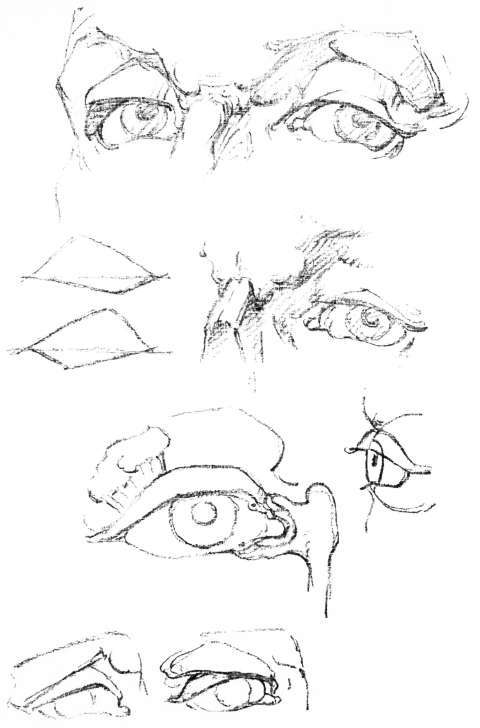 The Eye. Angular Opening Between the Lids.
