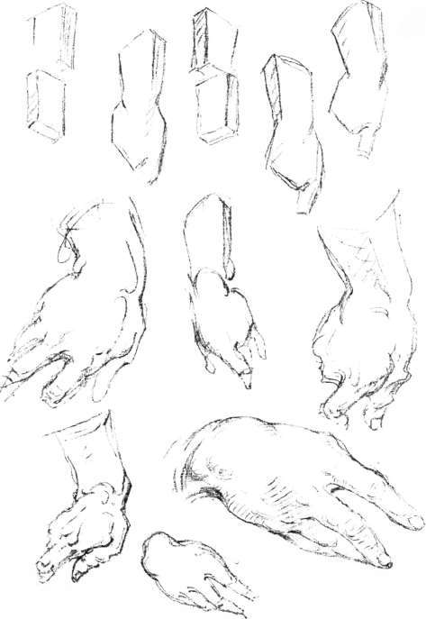 The Hand. Turning of the Masses of Hand and Wrist.