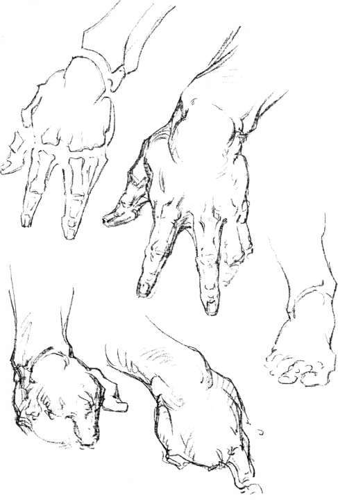 The Hand. Wedging of the Wrist: Little Finger Side.