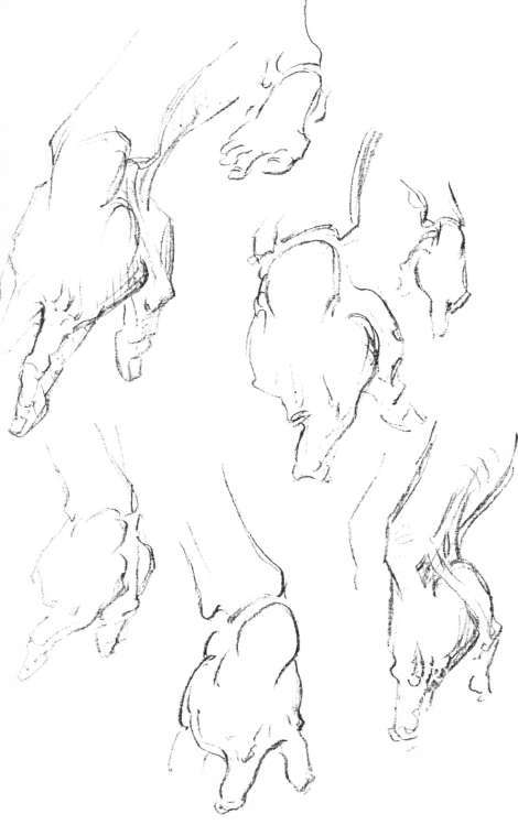 The Hand. Wedging of the Wrist: ThumB Side.