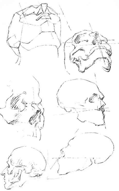 The Head. The Angles of Construction.