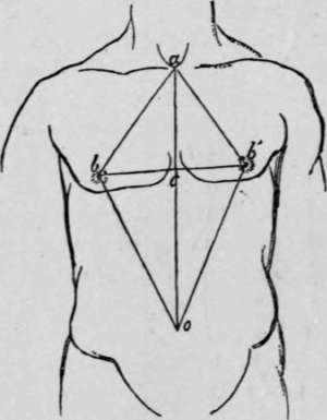Triangles showing growth of thorax and upper part of abdomen (Quetelet).