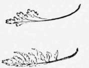 4 The Law Of Curvature Perspective Elements 47