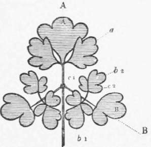 5 The Law Of Radiation Perspective Elements 55