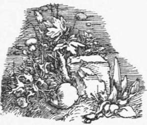 Exercise X Perspective Elements 20