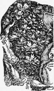 Exercise X Perspective Elements 21