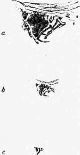 Letter II Sketching From Nature Perspective Elements 28