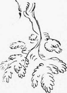 Letter II Sketching From Nature Perspective Elements 34