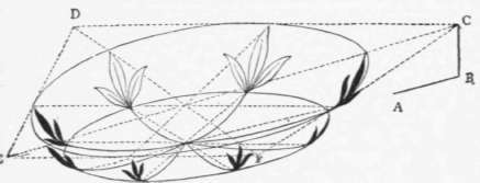 Problem XIV Perspective Elements 126