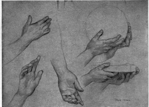 Studies Of Hands By Taber Sears. For Chancel Decoration In The First Presbyterian Church, New York City.