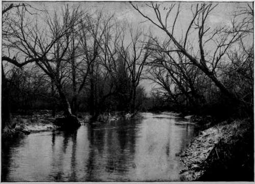Salt Creek in April.