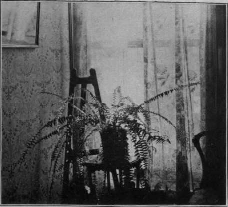 Taken on an Ordinary Plate