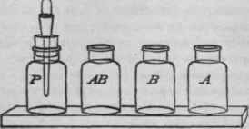 333 Pyrogallic Acid Developer 110