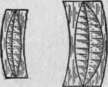 Bausch Lomb Lenses 0600100