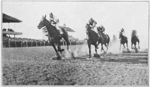 FIGHTING IT OUT DOWN THE STRETCH Study No. 39 By John M. Schrece